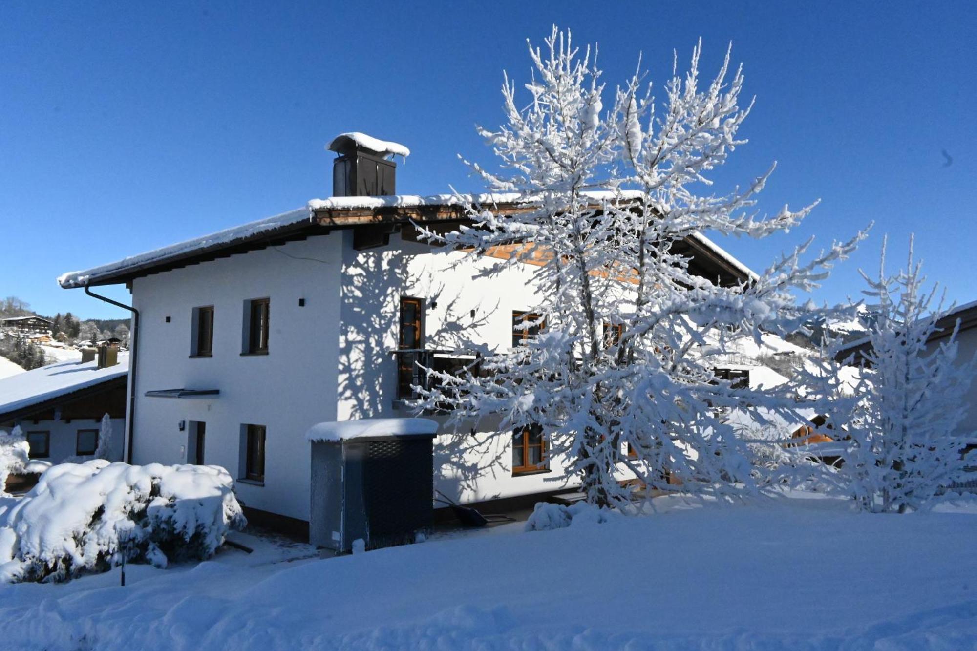 Nicky Apartments And Studios Niederau Luaran gambar